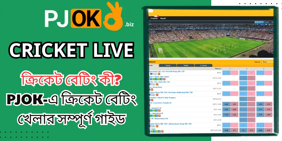 ক্রিকেট বেটিং কী? PJOK-এ ক্রিকেট বেটিং খেলার সম্পূর্ণ গাইড 1 cricket pjok